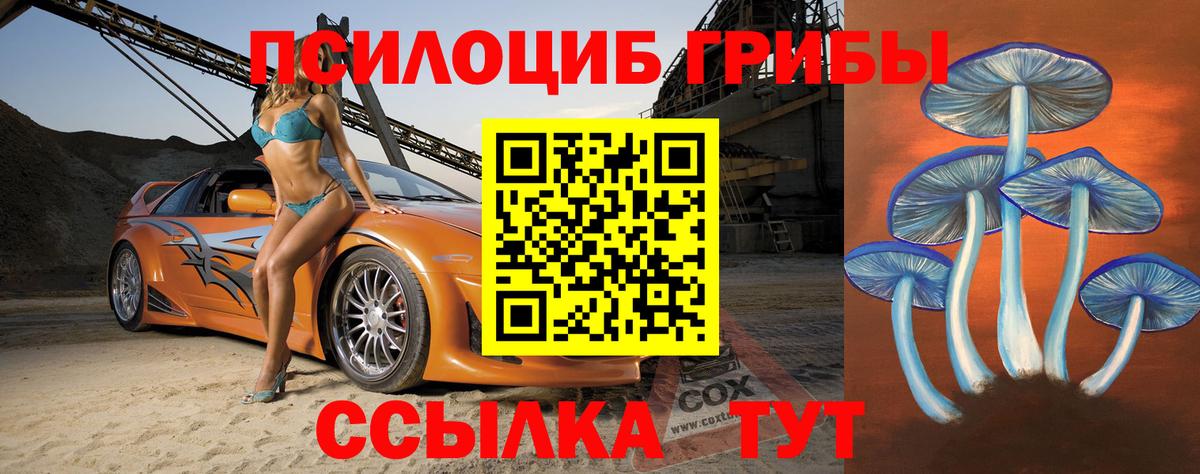 Псилоцибиновые грибы Cubensis  Вход с VPN  Электрогорск 